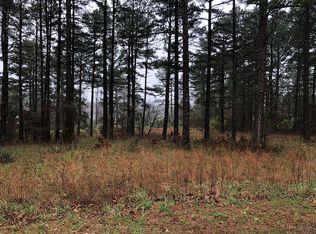 200 Clay St, Calico Rock, AR 72519