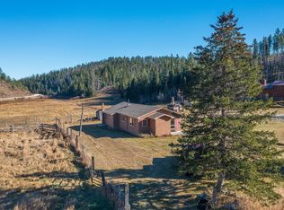 22880 S Rochford Rd, Hill City, SD 57745