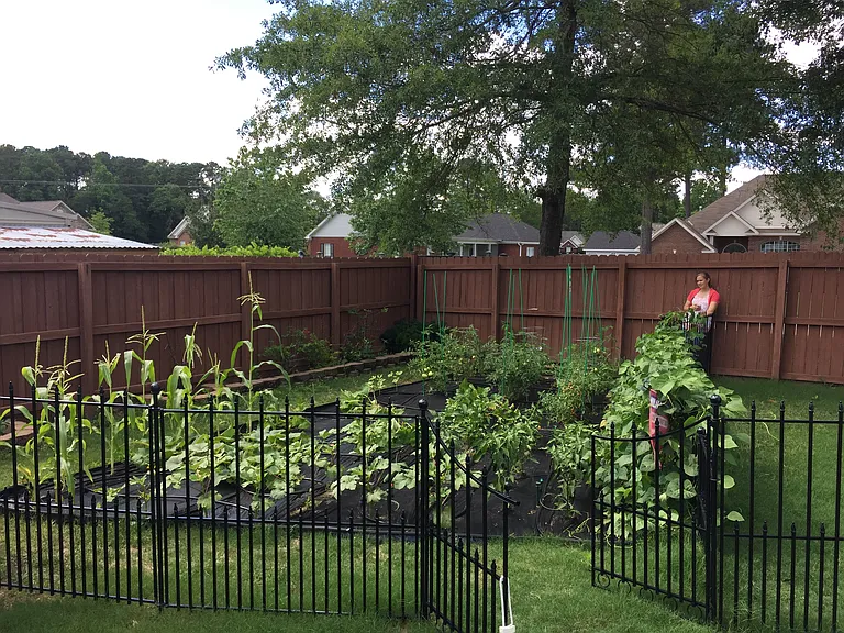 215 Live Oaks Cir — Photo 38