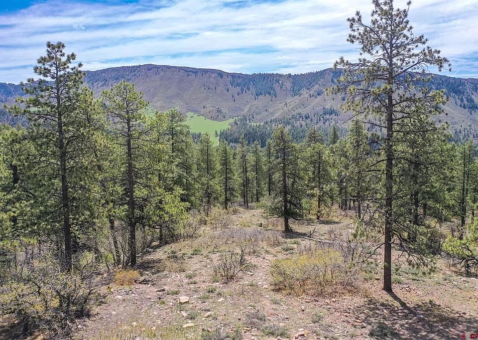 1st image of 339 Big Bear Trail