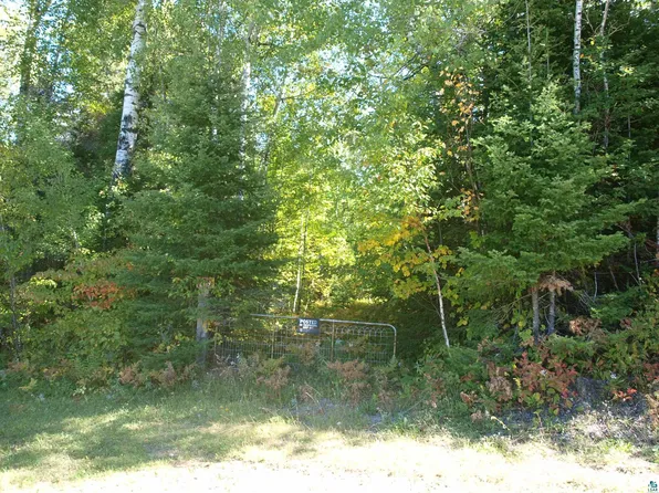 2119 Twin Lakes Rd, Ely, MN 55731