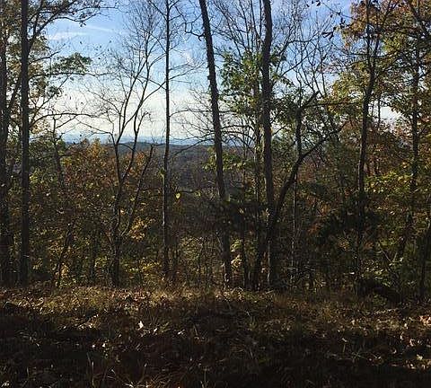 3rd image of 221 Loudon Hwy