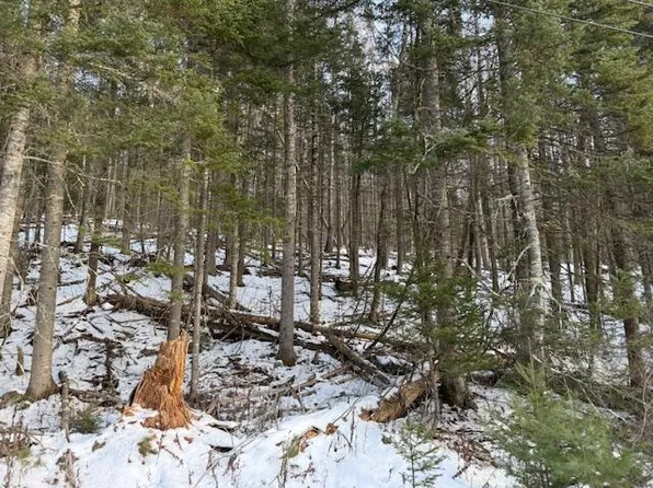 90 N Center Road, Monroe, ME 04951