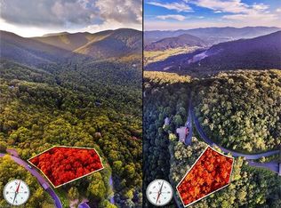 25 Lake Wood Ave, Black Mountain, NC 28711