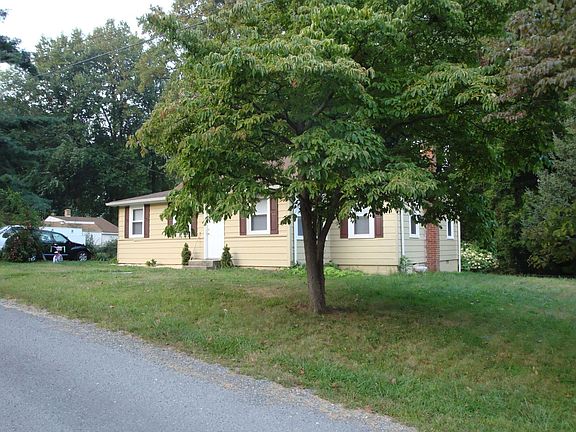 Mature Dogwood trees