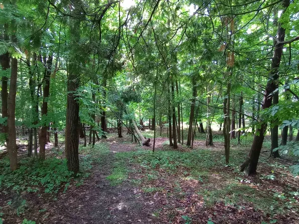 LOT 47 Linksview Way, Gladwin, MI 48624