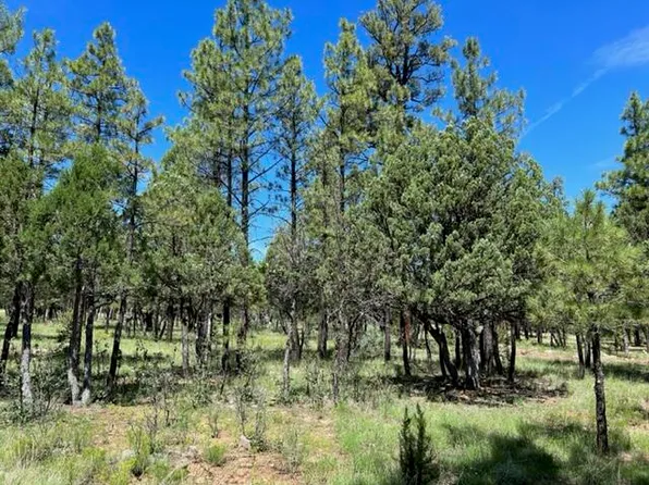 5931 Wolf Den Ct, Happy Jack, AZ 86024