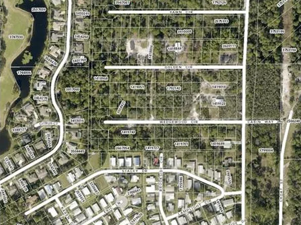 LOT 134 Park Forest Blvd Lot 134, Mount Dora, FL 32757