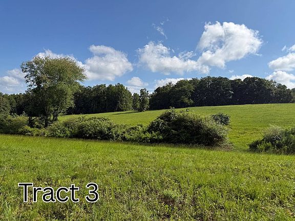 2nd image of TRACT 3 County Road 127