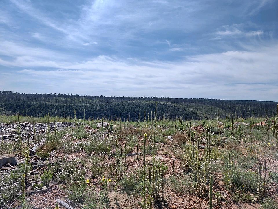 2nd image of 200 Moqui Dr