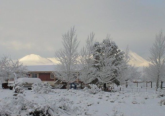 The rare snowfall and the wonderful mountains!