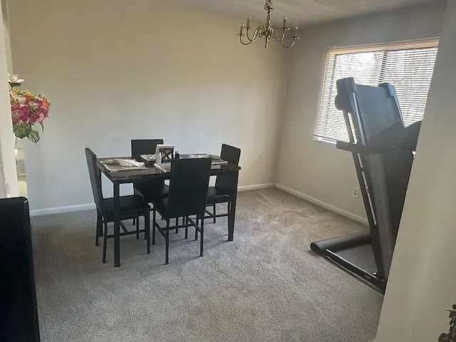 242 Lamplighter Cir — Photo 14