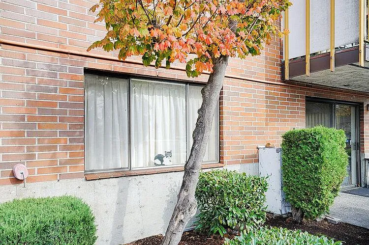 Northgate View Apartments — Photo 4