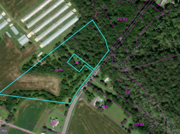 4591 Little Mastens Corner Rd, Felton, DE 19943