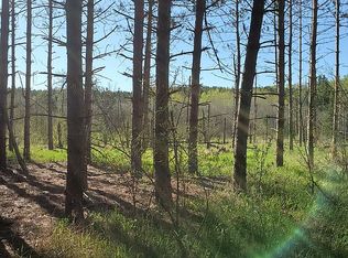 0 Silsby Rd, Roscommon, MI 48653