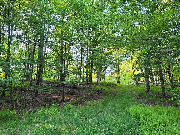 2nd image of Lot 1.35 W Shore Road