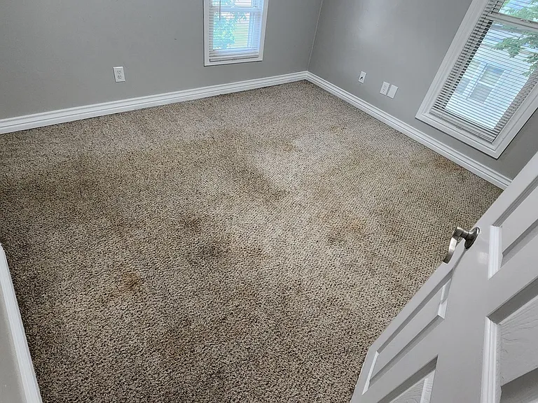 225 E Edwards St — Photo 33
