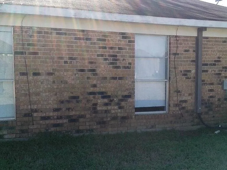 back of home