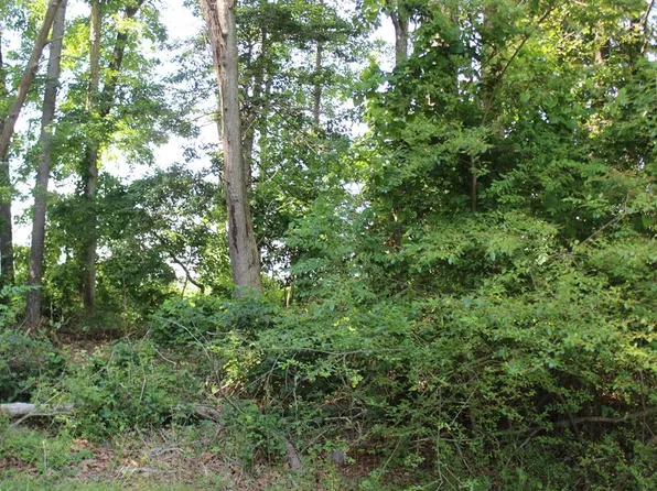 20 Oak Ct, Greenbackville, VA 23356