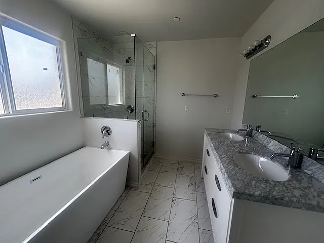 shower/tub (master room)