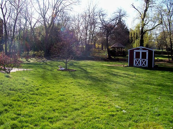 large backyard