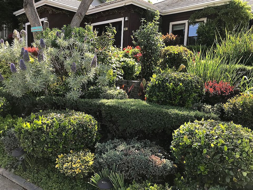 Front yard