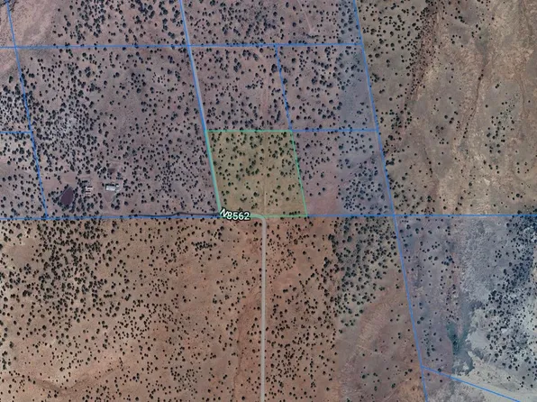 TBD 10.1 Acres RANCH WHITE MTN's -- #603, Concho, AZ 85924