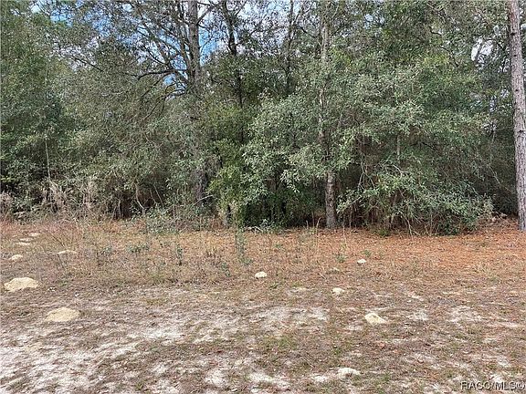 3rd image of 8912 N Mendoza Way