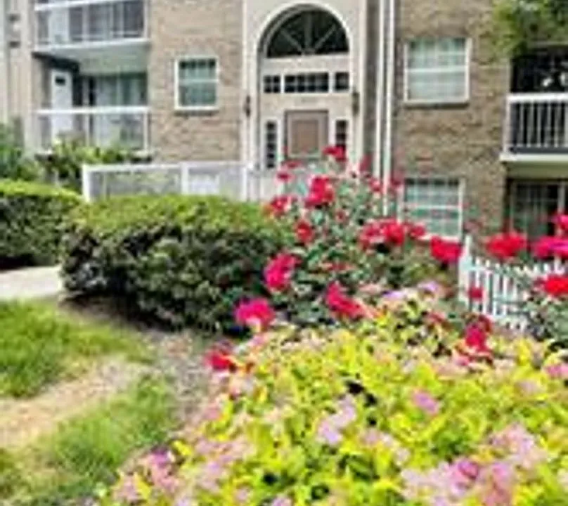 1931 Wilson Ln #T3