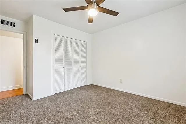 501 Hillary St — Photo 11
