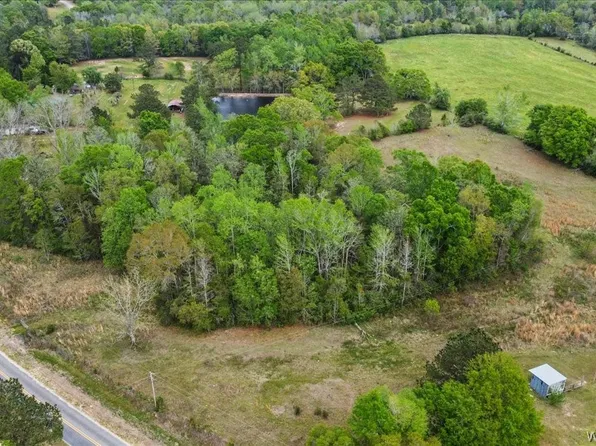 0 Old School Rd, Opp, AL 36467