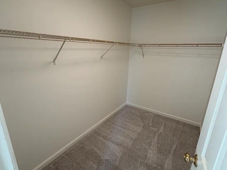 Large primary walk-in closet