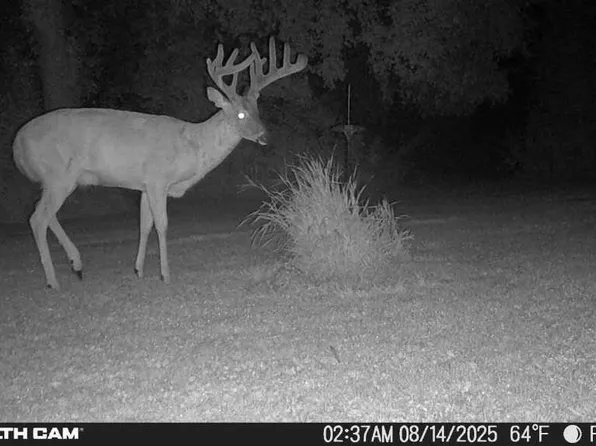 630th St, Claremont, MN 55924