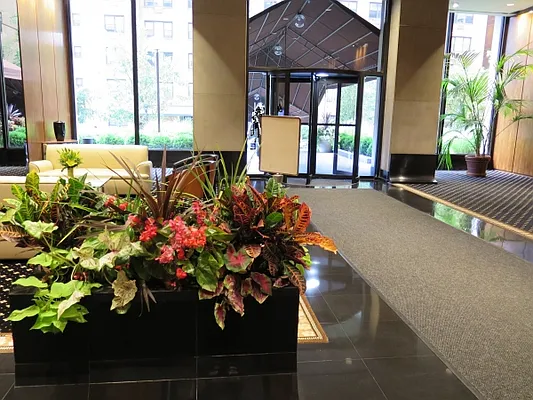 Rented by Citi Habitats | media 8