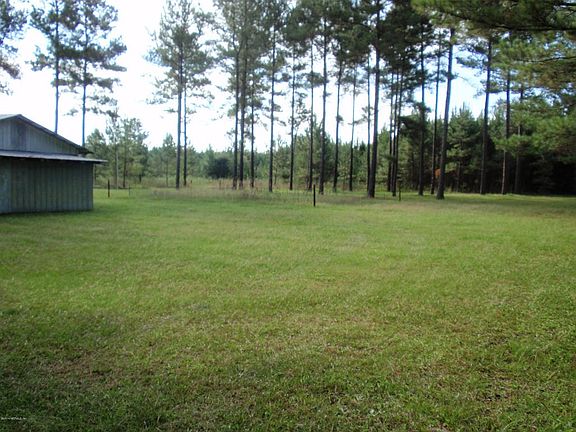 Partial view of yard