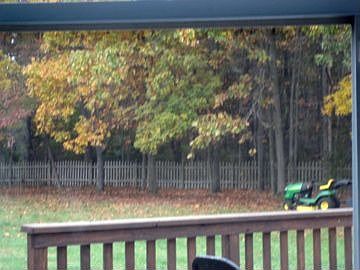 Huge fenced in backyard