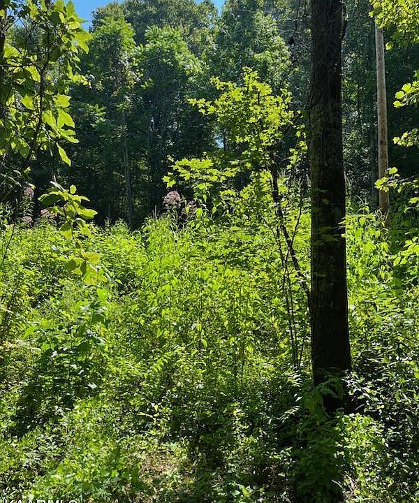 2nd image of Big Four Rd Tract 3