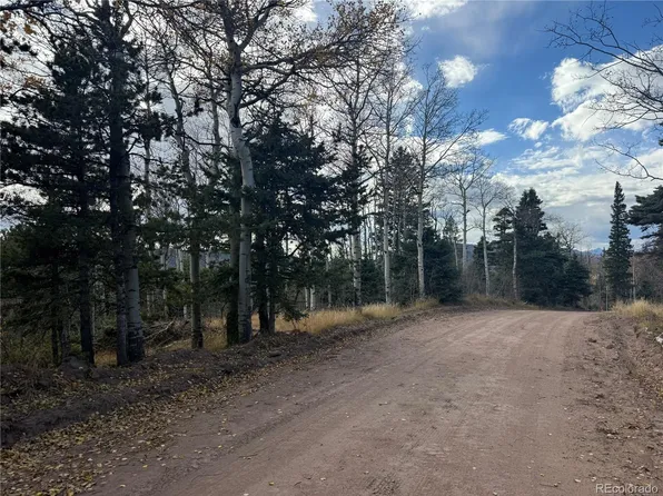 2663 Petito Drive LOT 2663, Fort Garland, CO 81133