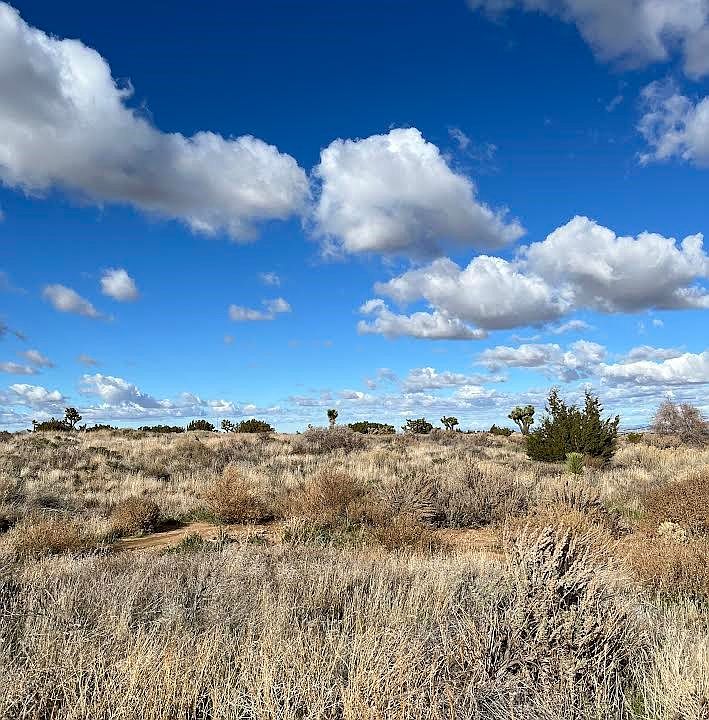 1st image of 3033 Arcadia Rd