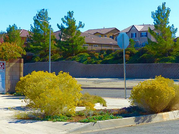 Very expensive homes nearby