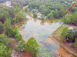 34132 August Ave, Webster, FL 33597