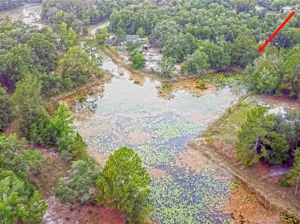 34132 August Ave, Webster, FL 33597