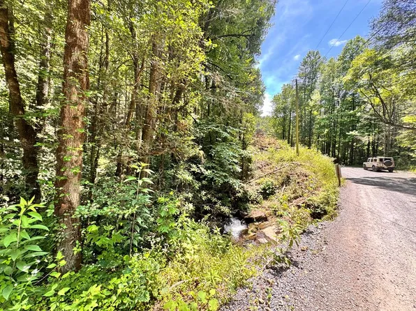 0 Grassy Mountain Rd, Ellijay, GA 30540