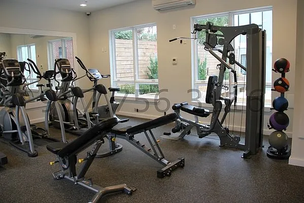 Rented by GTM Property Group  | media 36