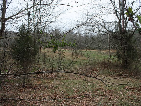 3rd image of 0 Stewart Branch Lane