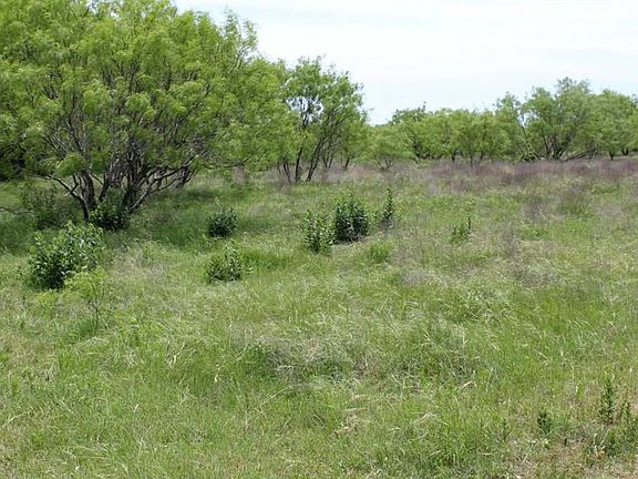 5th image of 4275 W Big Elm