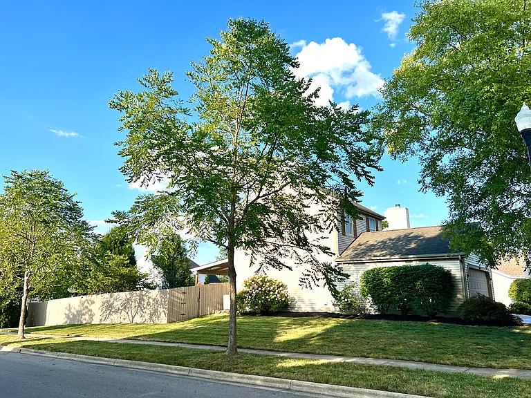 1330 Pannelly Pl — Photo 44