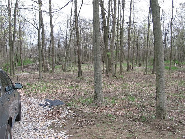 WOODED SITE