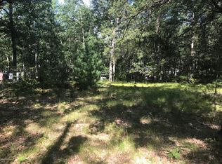 11859 S Blue Spruce Ave, Baldwin, MI 49304
