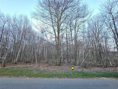 Adrian Cir, Constantia, NY, 13044